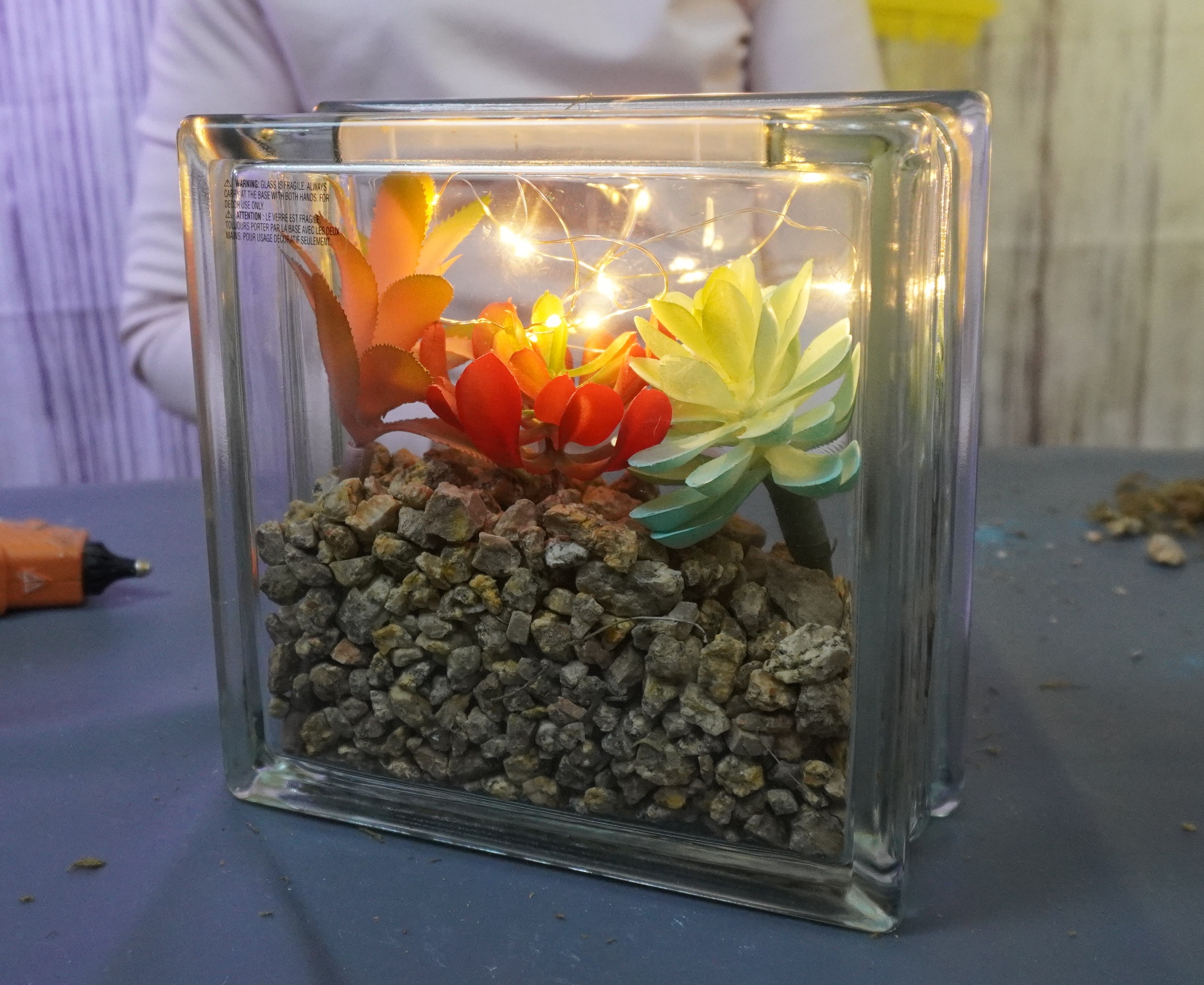 Glass  Block Terrariums are a beautiful addition to any home or office décor. 